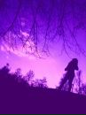 Евелінчик Мезей фотография #25 (источник - https://vk.com/id132768148)