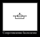Алина Алієва фотография #41 (источник - https://vk.com/id15709900)