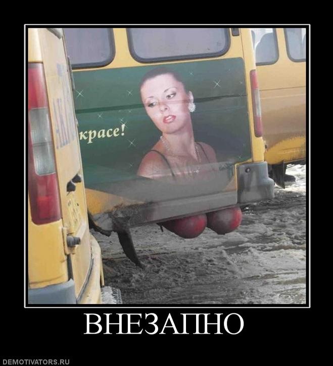 Илья Павлов фотография #5
