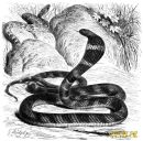 Фотография Кодинской Дарины