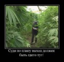 Олег Струбіцький фотография #44 (источник - https://vk.com/id62560557)