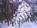Валерій Тукаш фотография #48 (источник - https://vk.com/id110366590)