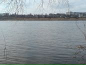 Юра Чіпа фотография #17 (источник - https://vk.com/id55392630)