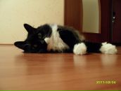 Фотография Михалко Алексея