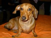 Фотография Виноградовой Екатерины