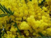 Галина Абрамчук фотография #31 (источник - https://vk.com/id8309770)