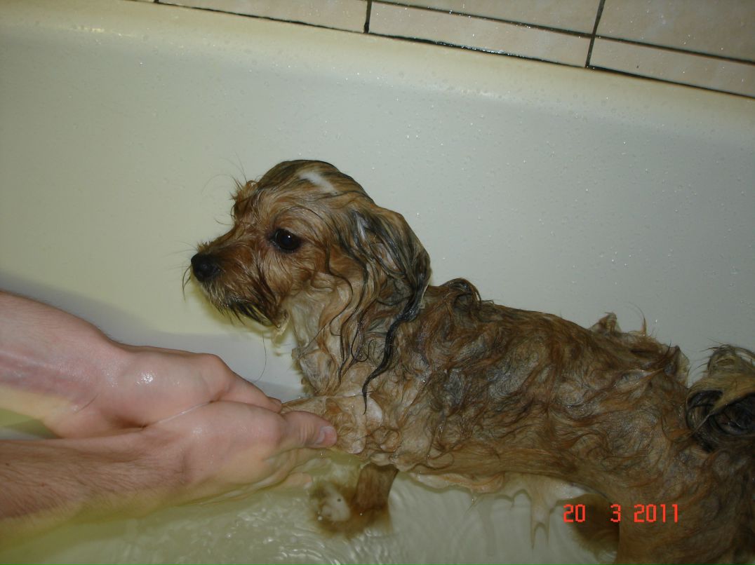 Иван Андреев фотография #16