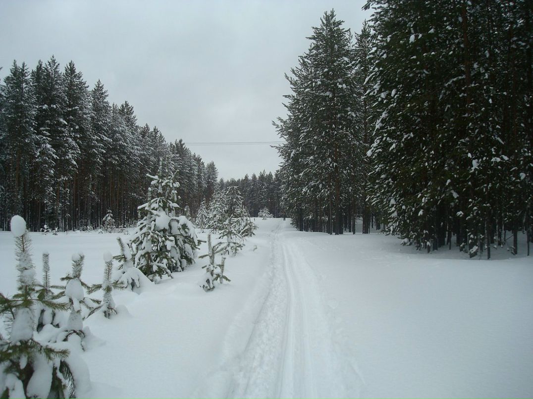 Никита Орлов фотография #4