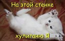 Людмила Грекул фотография #44 (источник - https://vk.com/id166478489)