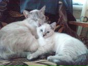 Фотография Ионова Александра