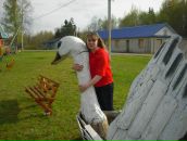 Фотография  