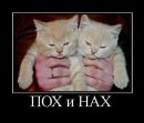 Віталік Скопик фотография #39 (источник - https://vk.com/id27872894)