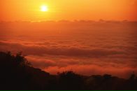 Фотография Борняковой Натальи