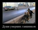 Фотография Оруджева Руслана