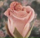 Фотография Наконечной Дарьи