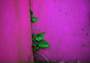 Фотография Игнатовской Надежды