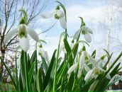 Юлія Лісовець фотография #19 (источник - https://vk.com/id62347258)