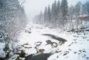 Іван Ковалик фотография #45 (источник - https://vk.com/id52361218)