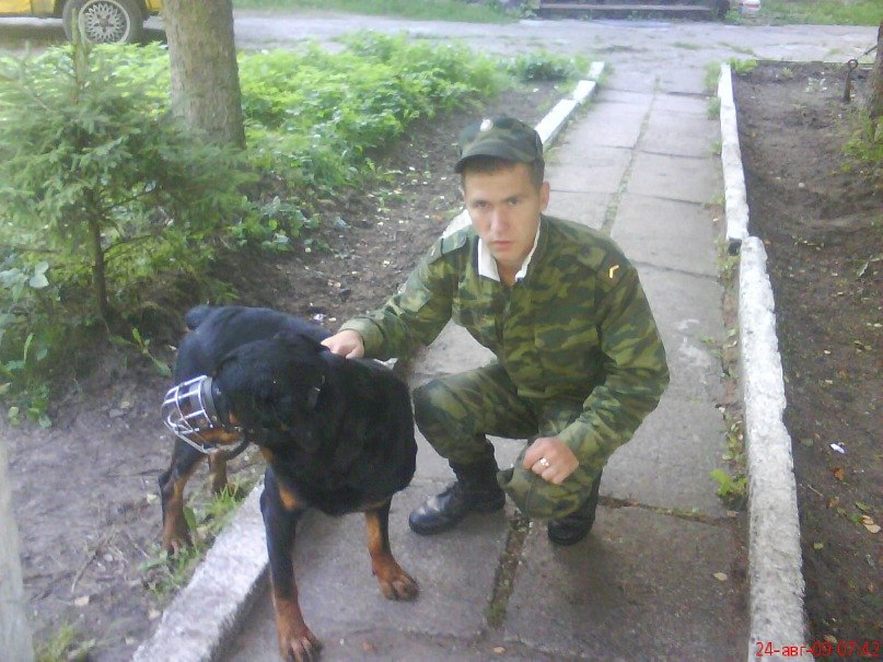 Naily Protas фотография #25