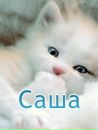 Фотография Шевченко Александры