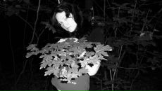 Фотография Ковальской Светланы