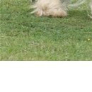 Олеся Вуйців фотография #50 (источник - https://vk.com/id74029763)