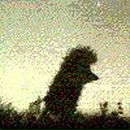 Андрей Давидович фотография #15 (источник - https://vk.com/id11913864)