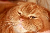 Фотография Цунтаевой Юлии