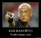 Фотография Гавриленко Александра