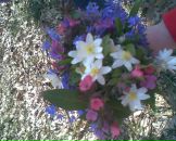 Іванна Кльоцко фотография #49 (источник - https://vk.com/id96934103)