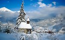Андрій Галушка фотография #40 (источник - https://vk.com/id151015516)