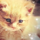 Фотография Александровой Лены