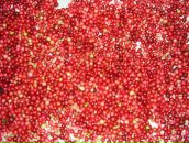 Фотография Александровой Юли