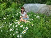 Фотография Иванов Дмитрий