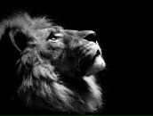 Фотография Хайруллина Романа