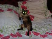 Владік Голод фотография #45 (источник - https://vk.com/id110295605)