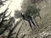 Марічка Дячок фотография #9 (источник - https://vk.com/id63465786)