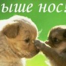 Ліля Радецька фотография #8 (источник - https://vk.com/id155361223)