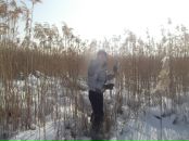 Вадім Безелюк фотография #18 (источник - https://vk.com/id64832861)