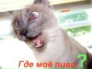 Вова Оніщук фотография #38 (источник - https://vk.com/id69996067)