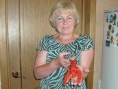 Фотография  