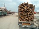 Іван Чайківский фотография #8 (источник - https://vk.com/id135142745)