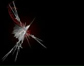 Фотография Книгиной Елены