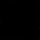 Фотография Гмызова Александра