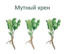 Фотография Крылкова Юрия