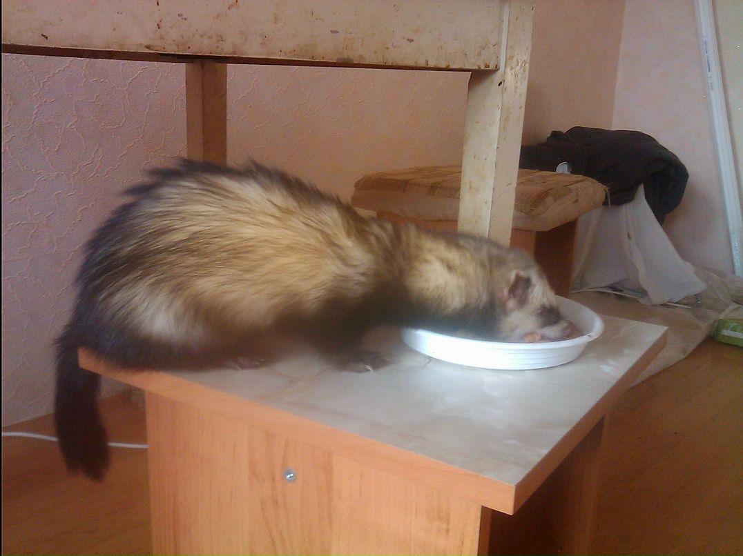 Дмитрий Кутас фотография #22