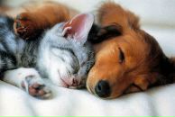 Фотография Симоновой Ксении