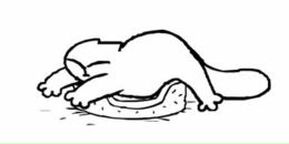 Фотография Верич Ксюши