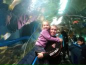 Фотография Левичева Артема