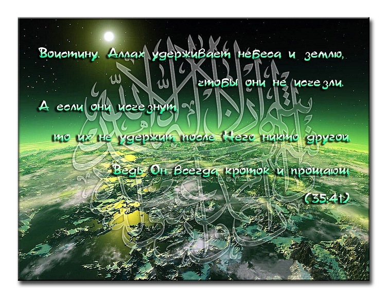 Рафаэль Сагдеев фотография #13